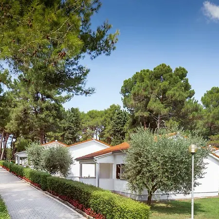 Galijot Plava Laguna Appartement Poreč